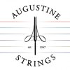 Augustine