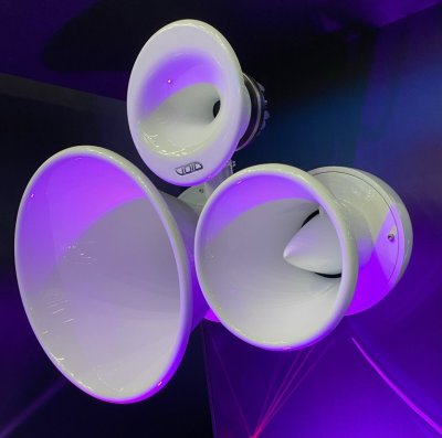 Рупорная акустическая система: мощное направленное звучание | LuxPRO.ua