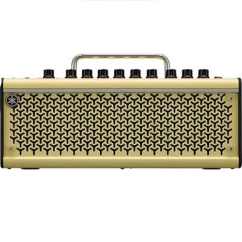 Комбопідсилювач THR10II