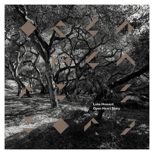 Вініловий диск Luke Howard: Open Heart Story