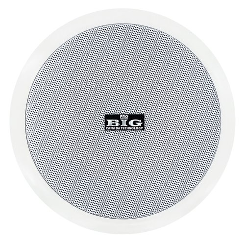 Потолочна акустична система CST601