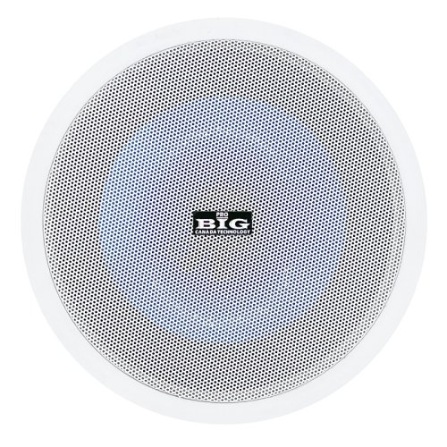 Потолочная акустическая система CST805