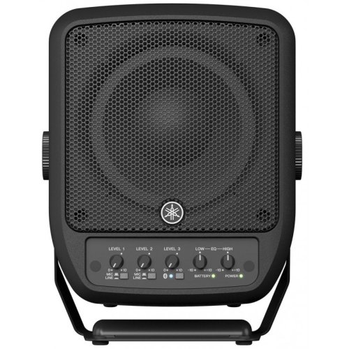 Акустична система STAGEPAS100