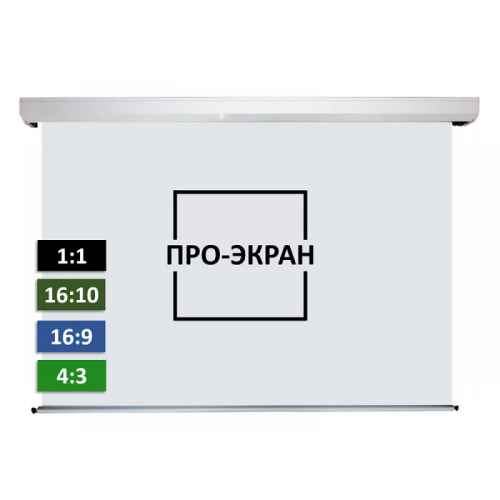 Моторизированный экран обратной проекции