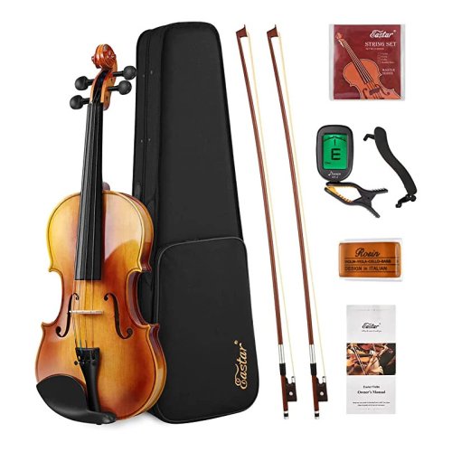 Скрипка акустическая Eastar EVA-330 4/4 Solid Wood Violin Set With Two Bow EB 0217