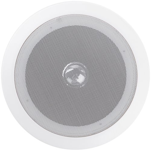 Потолочный динамик NJ-11TW