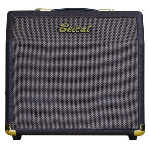 Комбоусилитель Acoustic 15C
