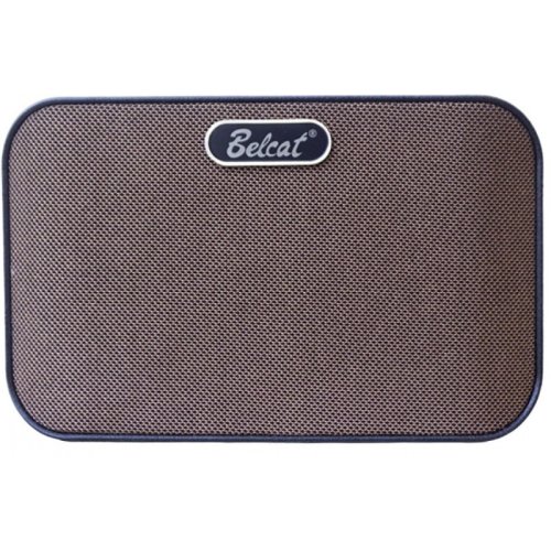 Комбопідсилювач AN-8D