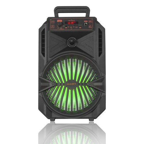 Автономная акустическая система BIG08TANOS usb/mp3/fm/bt + шнуровой микрофон