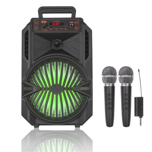 Автономная акустическая система DECEPTICON usb/mp3/fm/bt + 2 од радіо мікрофона