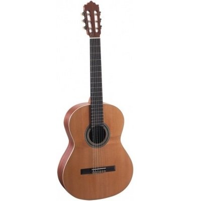 Гітара Model 201M