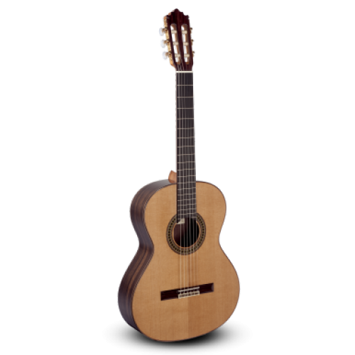 Гитара Model 204