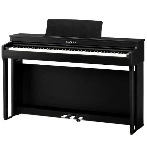 Цифровое фортепиано CN301B