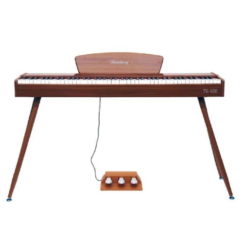 Цифровое пианино TS-100 WD Цифровое пианино TS-100 WD