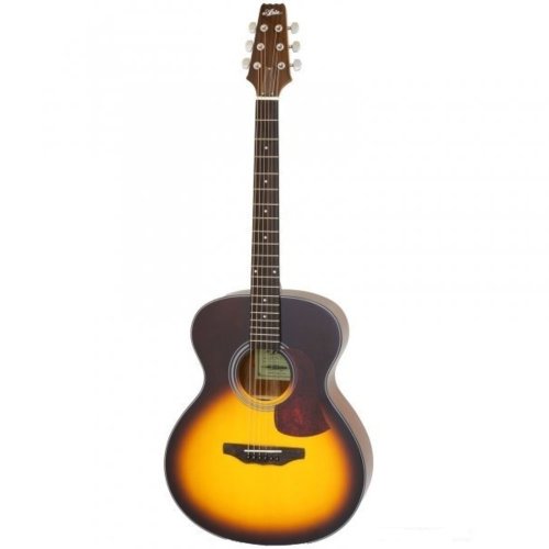 Акустическая гитара AF-10 TS