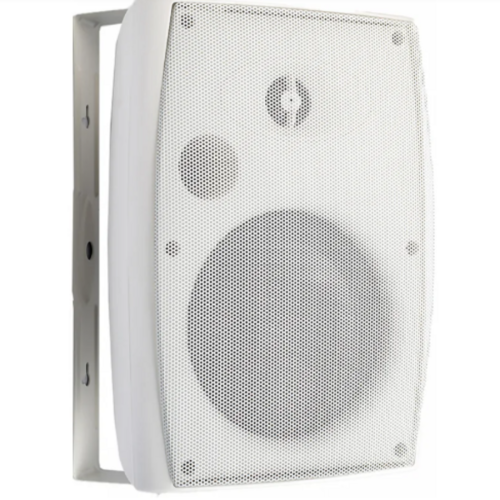 Настенная акустическая система 137BW