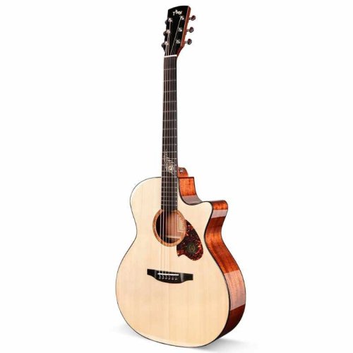 Электроакустическая гитара TG-5 PRO