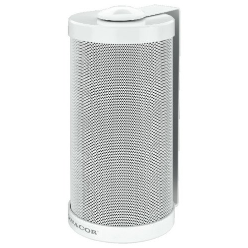 Настенная акустическая система ESP-315/WS