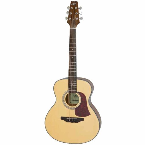 Акустическая гитара AF-10 N