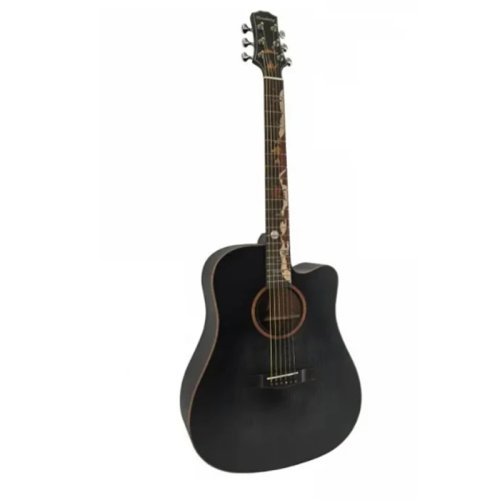 Акустическая гитара TMLT-C-BK