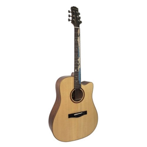 Акустическая гитара TMLT-C-N