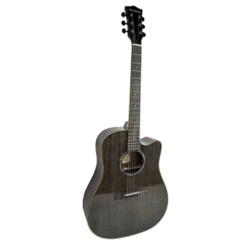 Акустична гітара T360-M