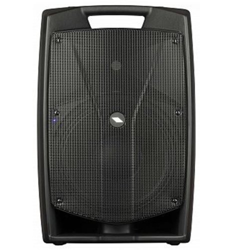 Акустическая система V12PRO
