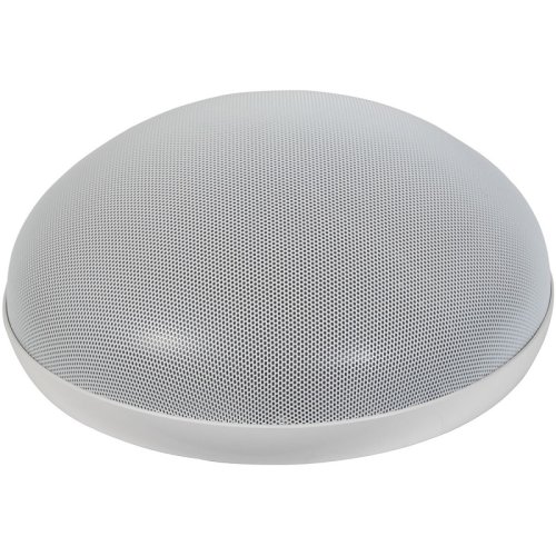 Гучномовець 2-х полосний H-2