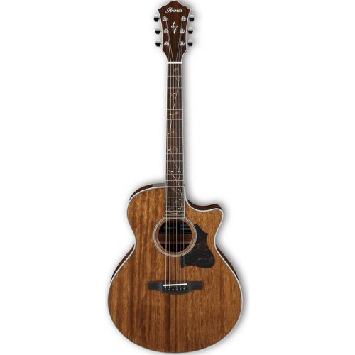 Акустическая гитара AE245 NT
