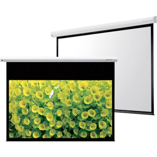 Экран моторизированный Compact Electrol 228x300 см