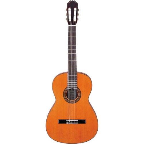 Классическая гитара AC 25 Классическая гитара AC 25