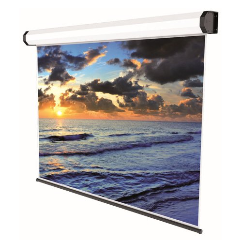 Екран Electric Professional 220х220