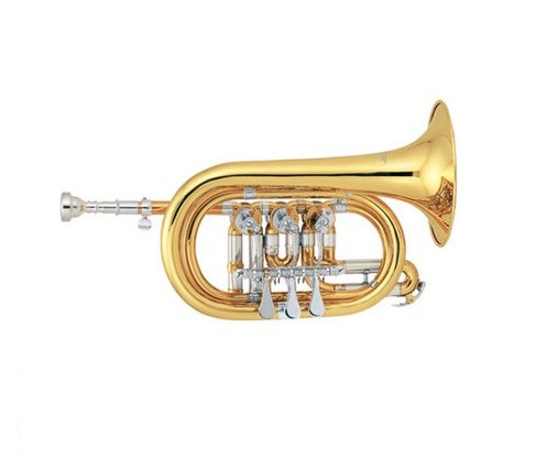 Корнет JBCR-1500L  Корнет JBCR-1500L