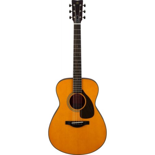 Акустическая гитара FS5