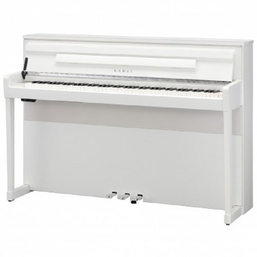 Цифровое фортепиано CA99W