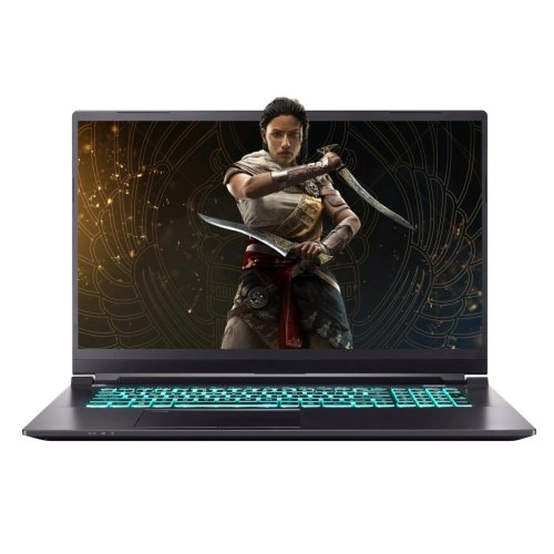 Ноутбук RS2070Q-17 17.3FHD IPS 144Hz/Intel i7-10750H/16/1024F/NVD2070-8/DOS