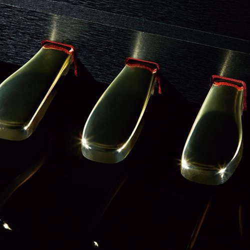 Цифровое фортепиано GP-510BPC7 Фото №10