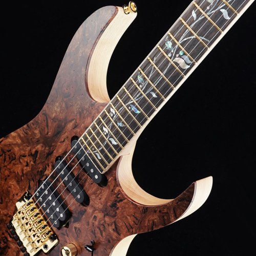 Электрогитара RG8520SLTD NTF Фото №6