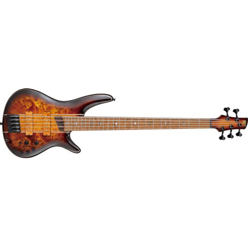 Бас-гитара SR5PBLTD DEL Фото №2