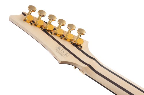 Электрогитара RG5170B-BK Фото №7