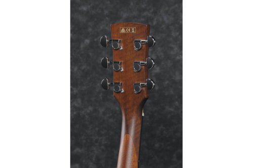 Электроакустическая гитара PF10CE OPN Фото №5