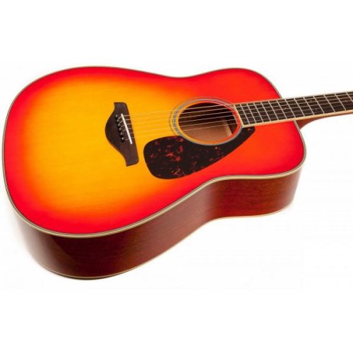 Акустична гітара FG820 AUTUMN BURST Фото №3