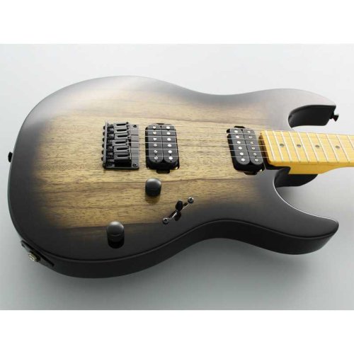 Електрогітара BOS2EW1MHH “Limited Model” Фото №4 Електрогітара BOS2EW1MHH “Limited Model” Фото №4