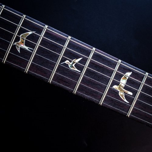 Електрогітара CUSTOM 24 (ORANGE TIGER) #0364589 Фото №8