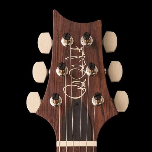 Электрогитара PAUL'S GUITAR 10-TOP (YELLOW TIGER) Фото №4