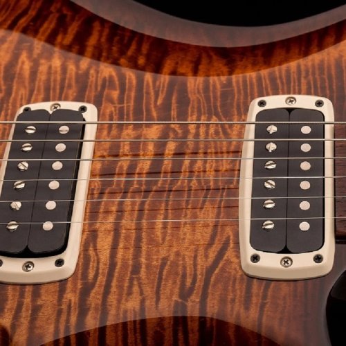 Электрогитара PAUL'S GUITAR 10-TOP (YELLOW TIGER) Фото №5