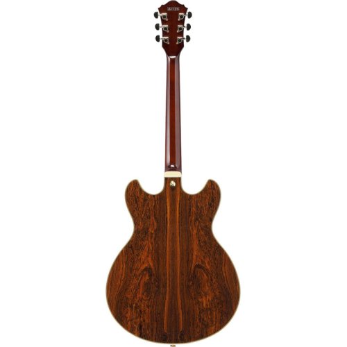 Полуакустическая электрогитара AS93BC BK Фото №2