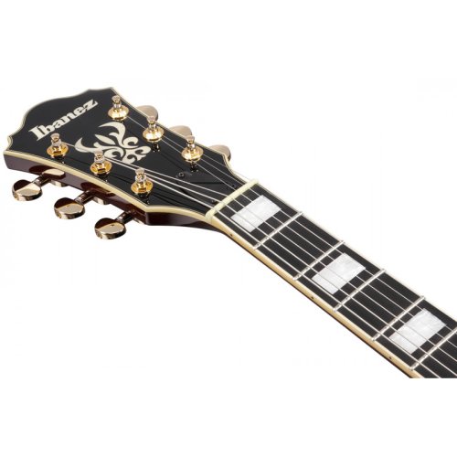 Полуакустическая электрогитара AS93BC BK Фото №6