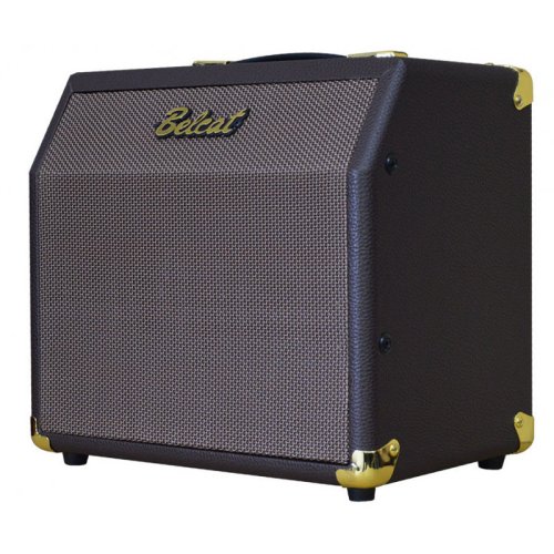 Комбоусилитель Acoustic 15C Фото №2