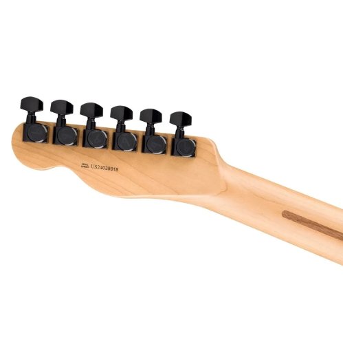Электрогитара AMERICAN PRO II LIMITED EDITION TELECASTER HH AGED NATURAL Фото №3